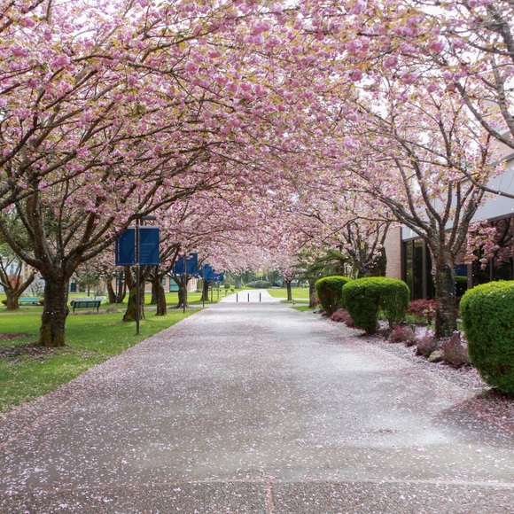 Meet your Posher, Lara - Picture 2 of 2